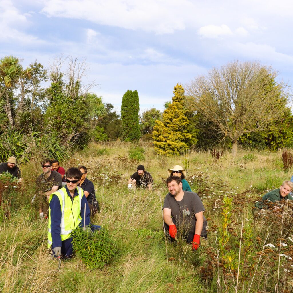 The team working through a section of the planting area